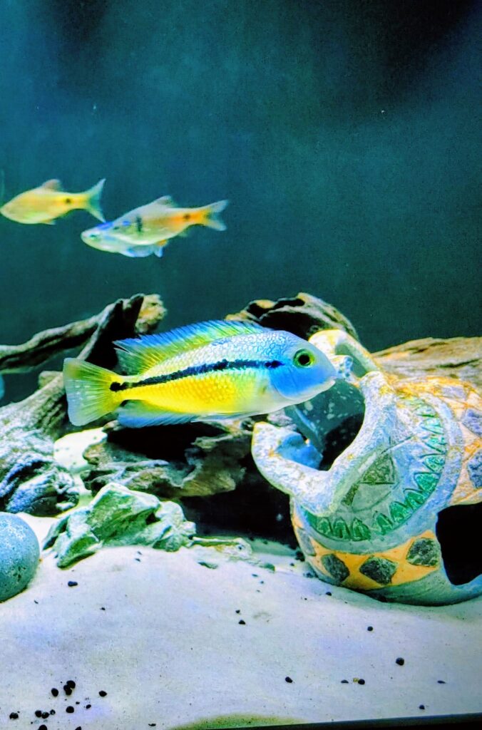 whatsapp image 2026 04 01 at 21.03.28