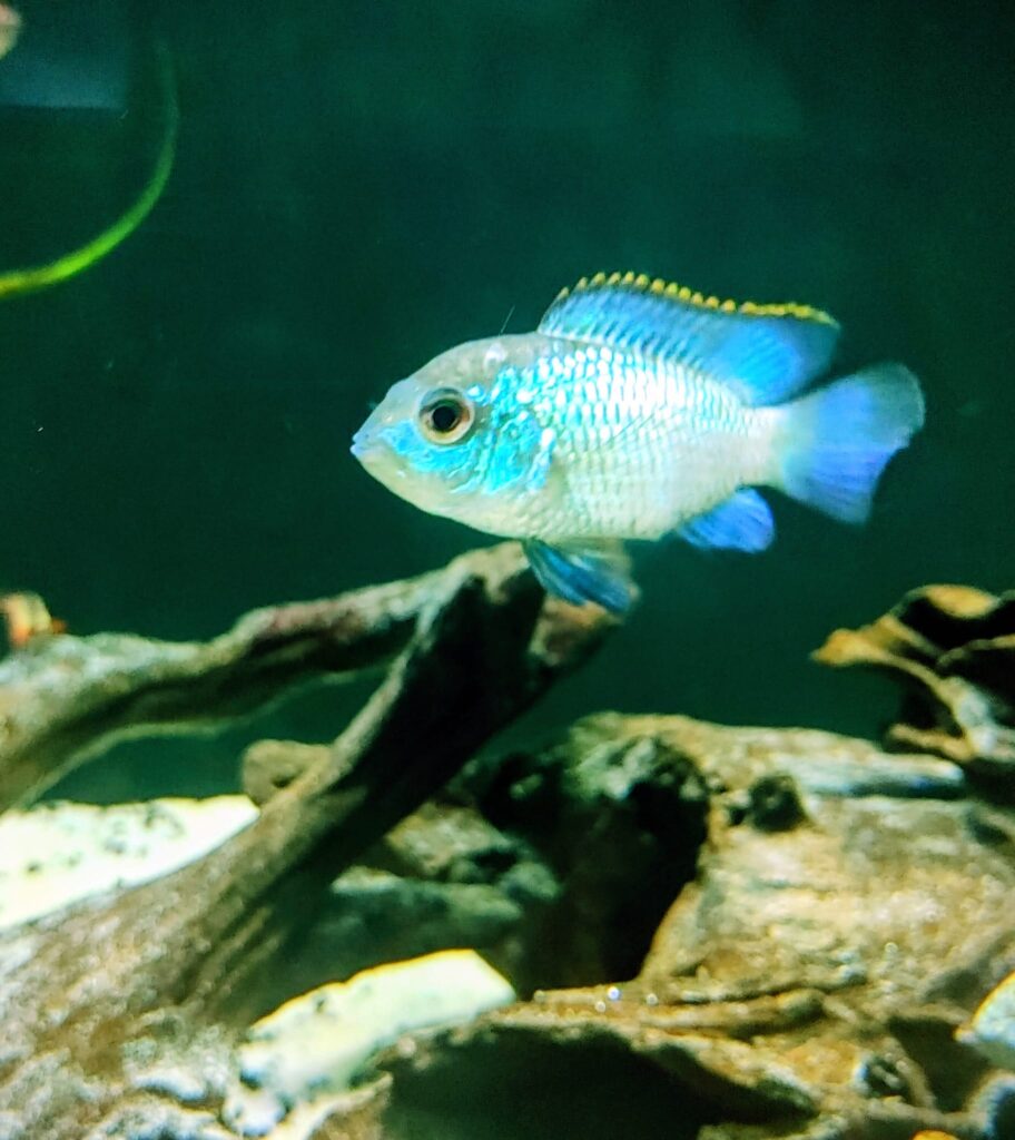 whatsapp image 2026 04 01 at 21.07.58